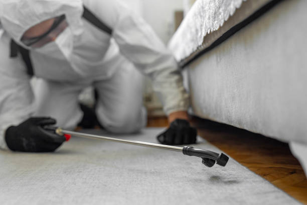 Professional Termite Control technician working in Pima County County, AZ